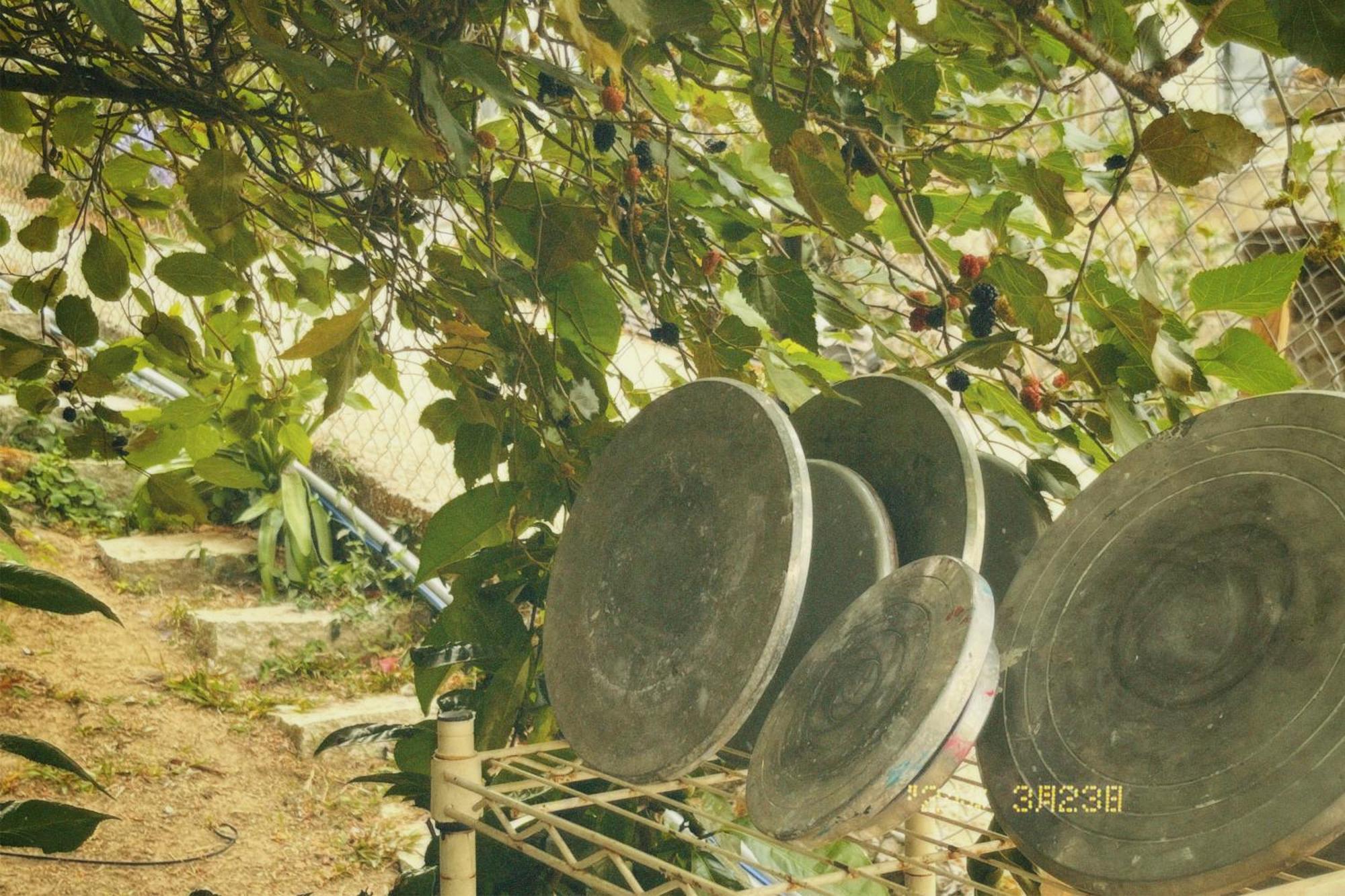 Đà Lạt TEEPEE Homestay Extérieur photo