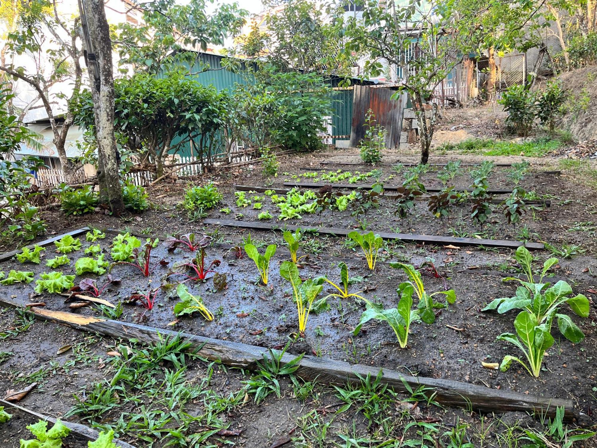 Đà Lạt TEEPEE Homestay Extérieur photo